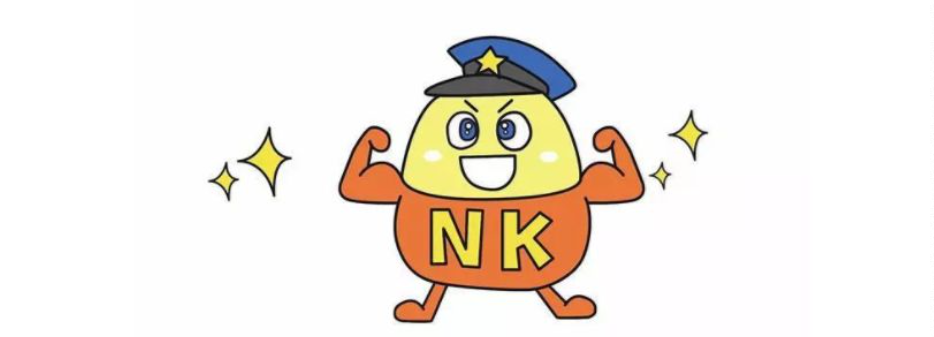nk细胞