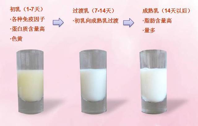 奶水稀吃什么好_奶水稀_哺乳期奶水稀怎么办