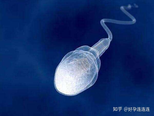 弱精症