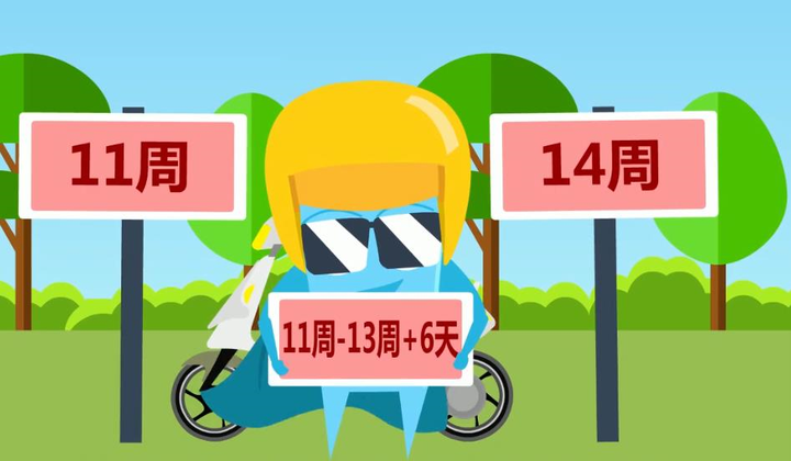 nt检查