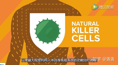 nk细胞