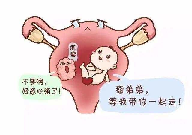 促甲状腺激素低_高灵敏促甲状腺激素低_雌激素低怎么办