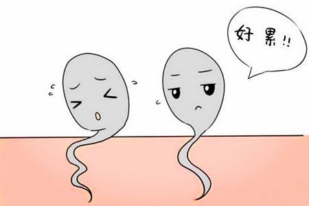 弱精症的原因_弱精症_弱精症怎么治疗好