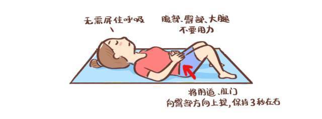盆底肌松弛怎么办_盆底肌康复训练_盆底肌修复