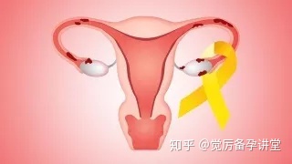 子宫内膜薄