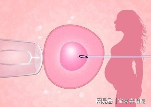 子宫内膜薄_子宫没有内膜有月经吗_正常子宫宫内膜厚度