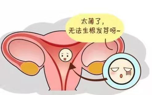 子宫内膜薄_子宫没有内膜有月经吗_正常子宫宫内膜厚度