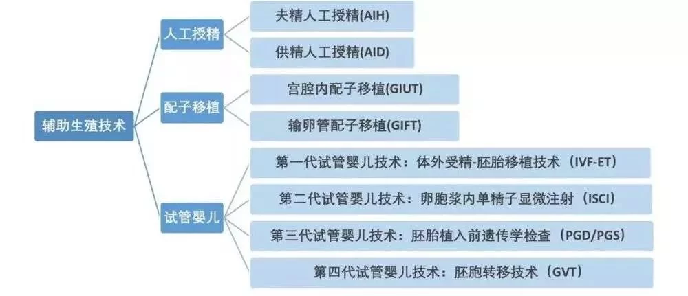 辅助生殖