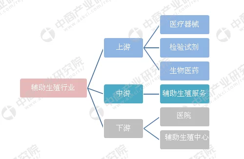 辅助生殖