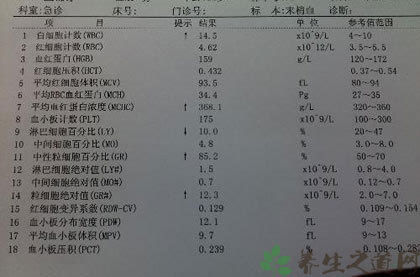 白细胞