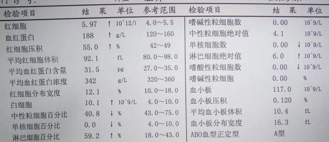 解读血常规(白细胞)