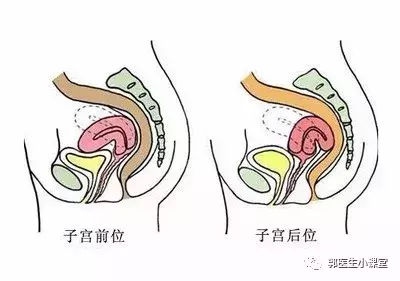小月子_流产小月子注意事项_大月子和小月子的区别