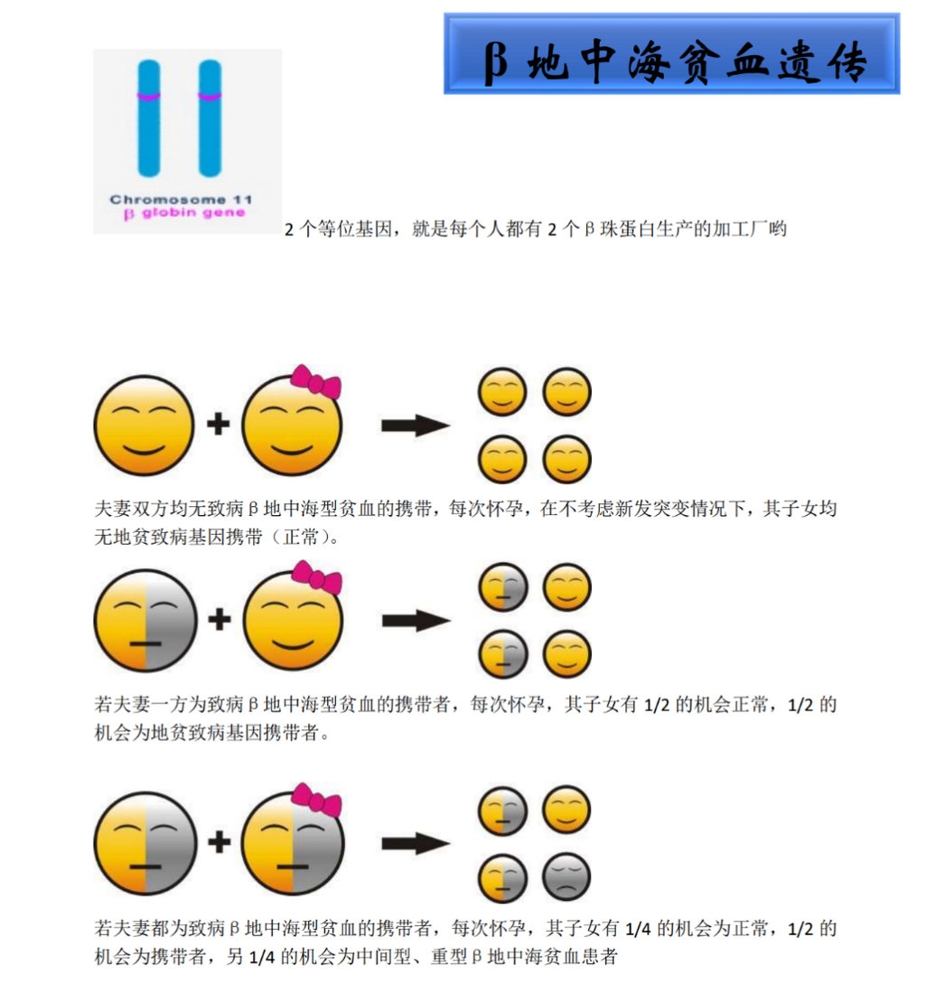 地中海贫血