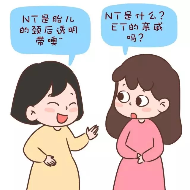 nt检查