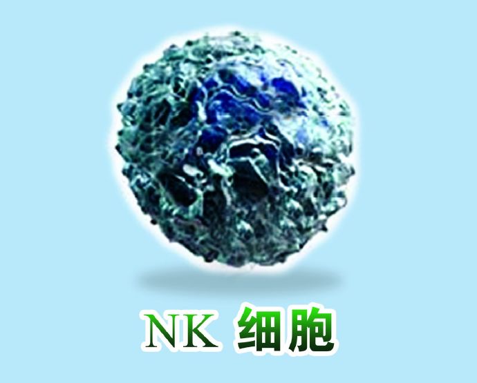 NK细胞疗法——防癌抗衰老,提升免疫力