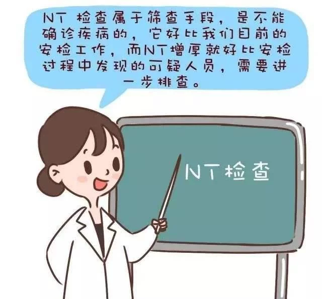 nt检查
