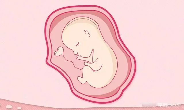 宫腔粘连
