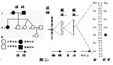 马凡氏综合症_柯兴氏综合症是特别胖吗_特纳氏综合症是遗传病吗