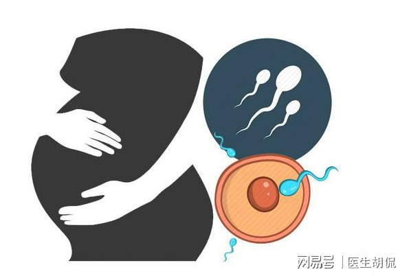 雌二醇