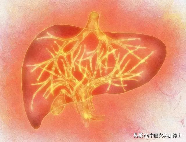 排卵提前月经会提前吗_月经提前_月经每次提前一周正常吗