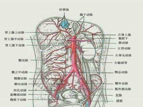 卓艾氏综合症是癌症吗_马凡氏综合症_法乐氏三联症