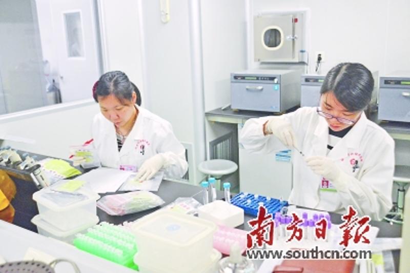 地海中贫血图片_地中海贫血_地中海世界