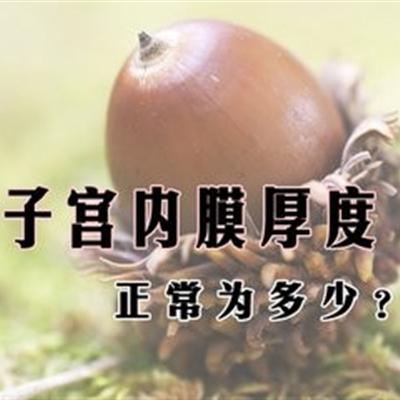 子宫内膜厚度