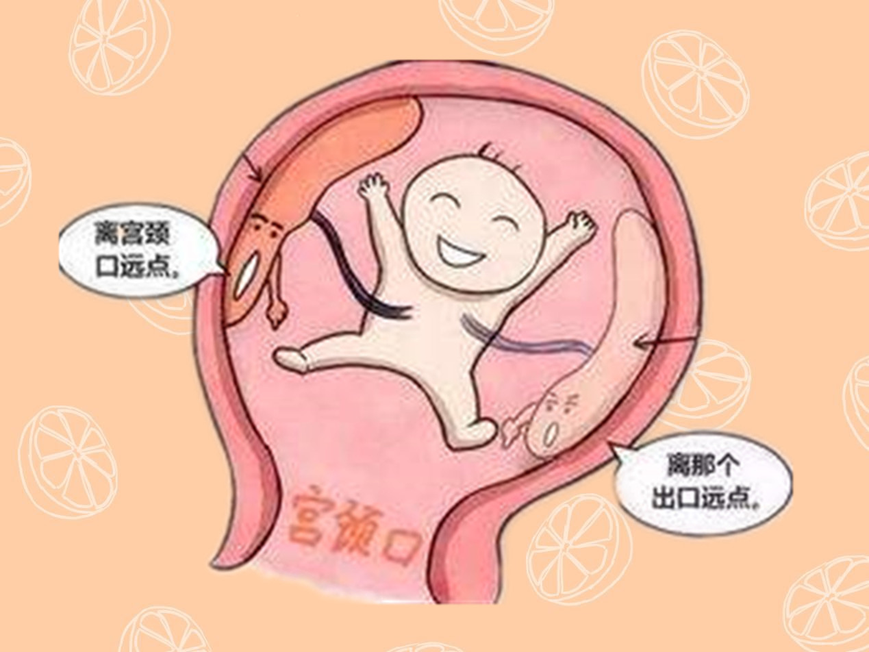 着床降温什么原理_着床降温体温图_着床降温