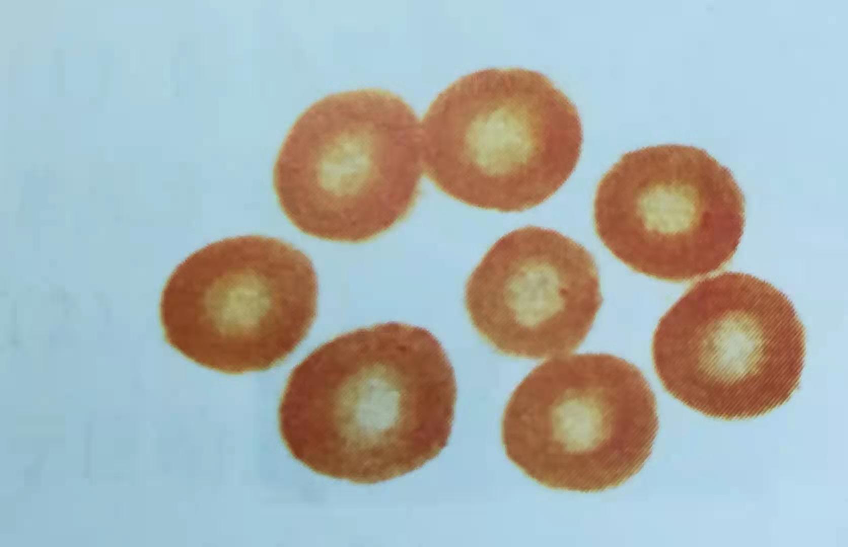 1620609469992663.jpg