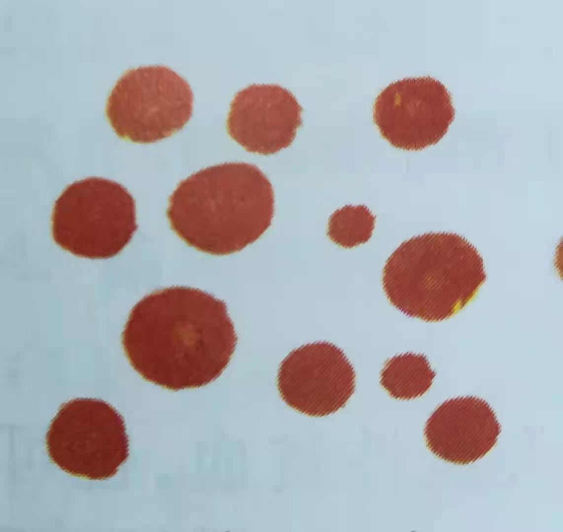 1620609484546400.jpg