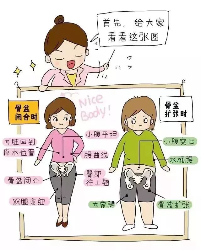 盆底肌修复