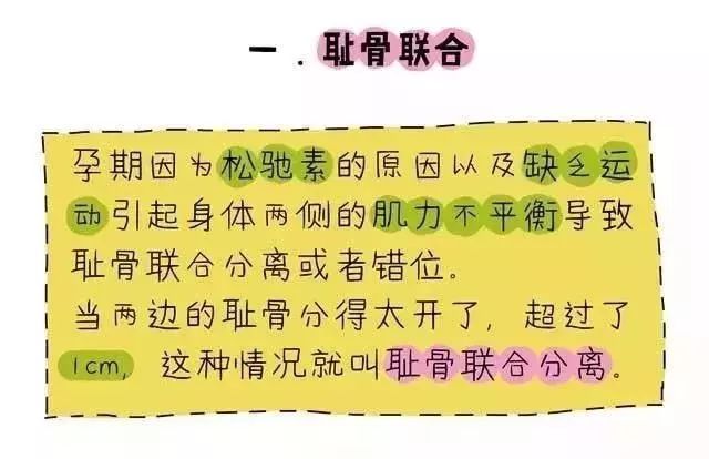 盆底肌修复