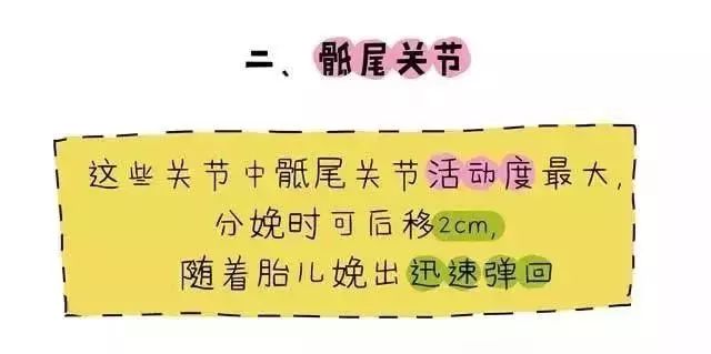 盆底肌修复