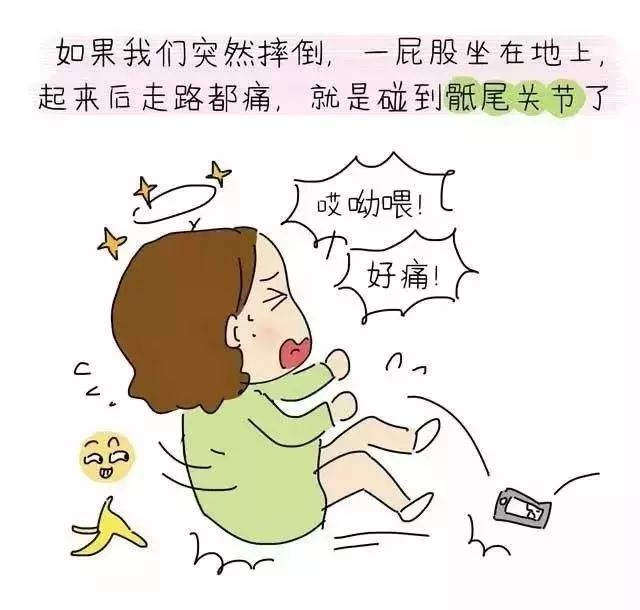盆底肌修复