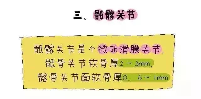 盆底肌修复