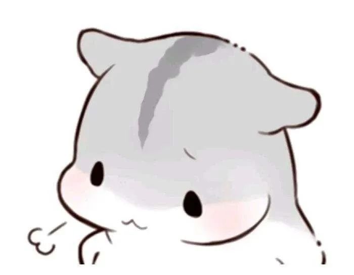 盆底肌修复