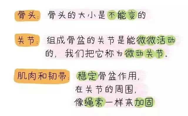 盆底肌修复