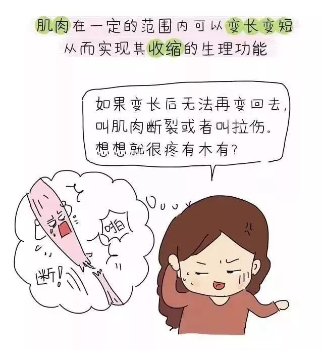 盆底肌修复