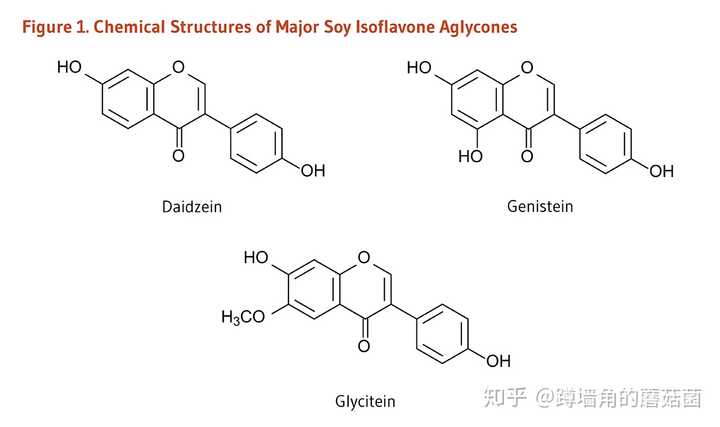 雌孕激素低怎么办_雌激素低怎么办_雌孕激素低