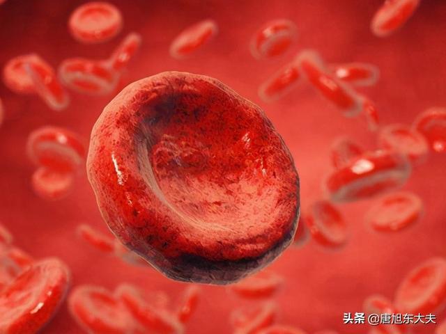 为验证溶藻细胞对铜绿微囊藻细胞数量_细胞附红体 猪瘟和猪丹毒的治疗_红细胞