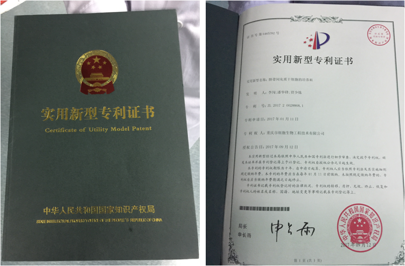 nk细胞_nk细胞治疗_nk细胞是什么