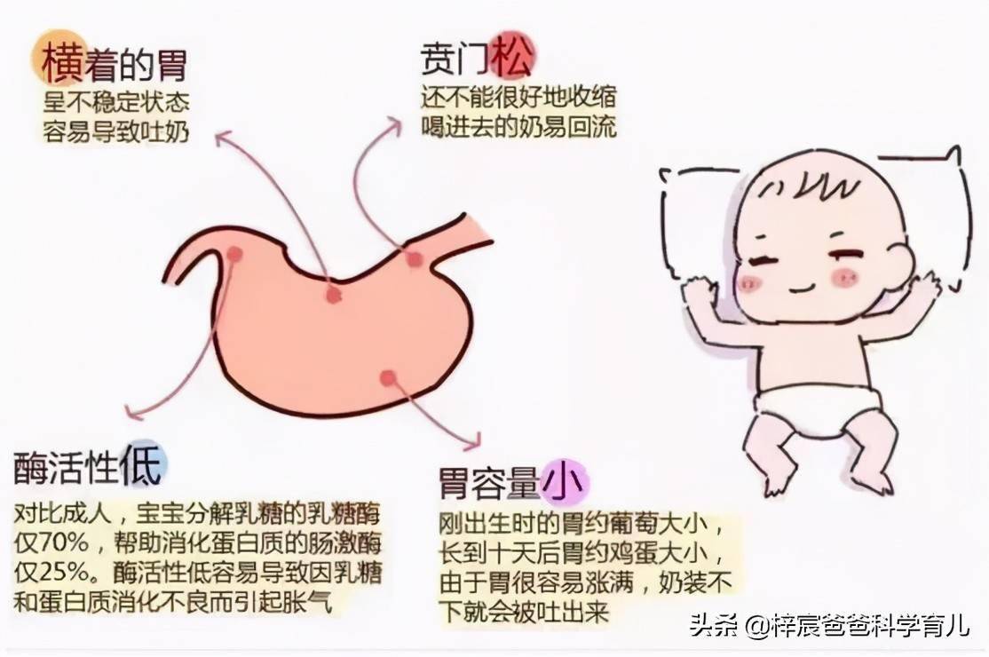 新生儿打嗝吐奶_新生儿总吐奶_新生儿吐奶