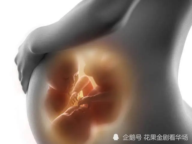 水中分白鹭洲_十世吧娩楼_水中分娩