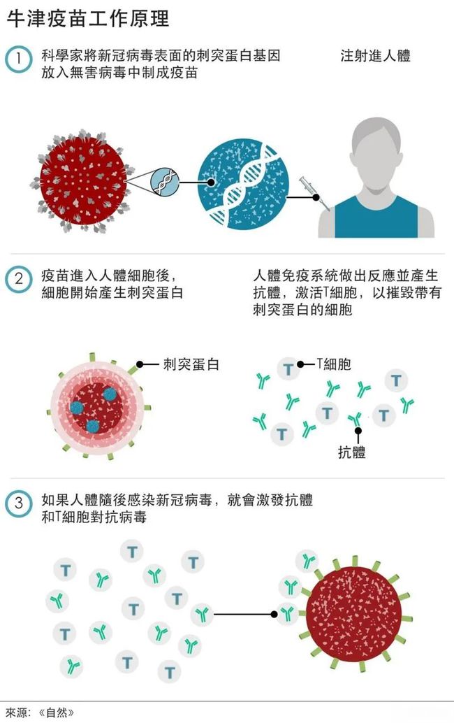 单纯疱疹病毒的治疗方法_单纯疱疹病毒_单纯疱疹Ⅰ/Ⅱ型病毒igm抗体