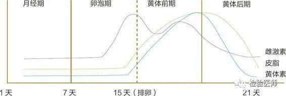 月经提前_每次月经都提前一周正常吗_月经每个月都提前一周正常吗