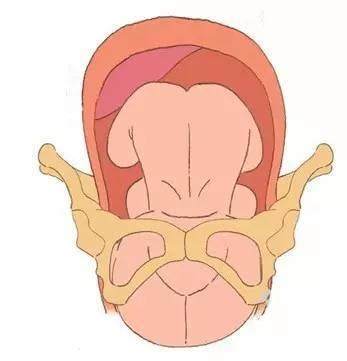 多胎妊娠_妊娠剧吐每胎都那样吗_多胎妊娠减胎术