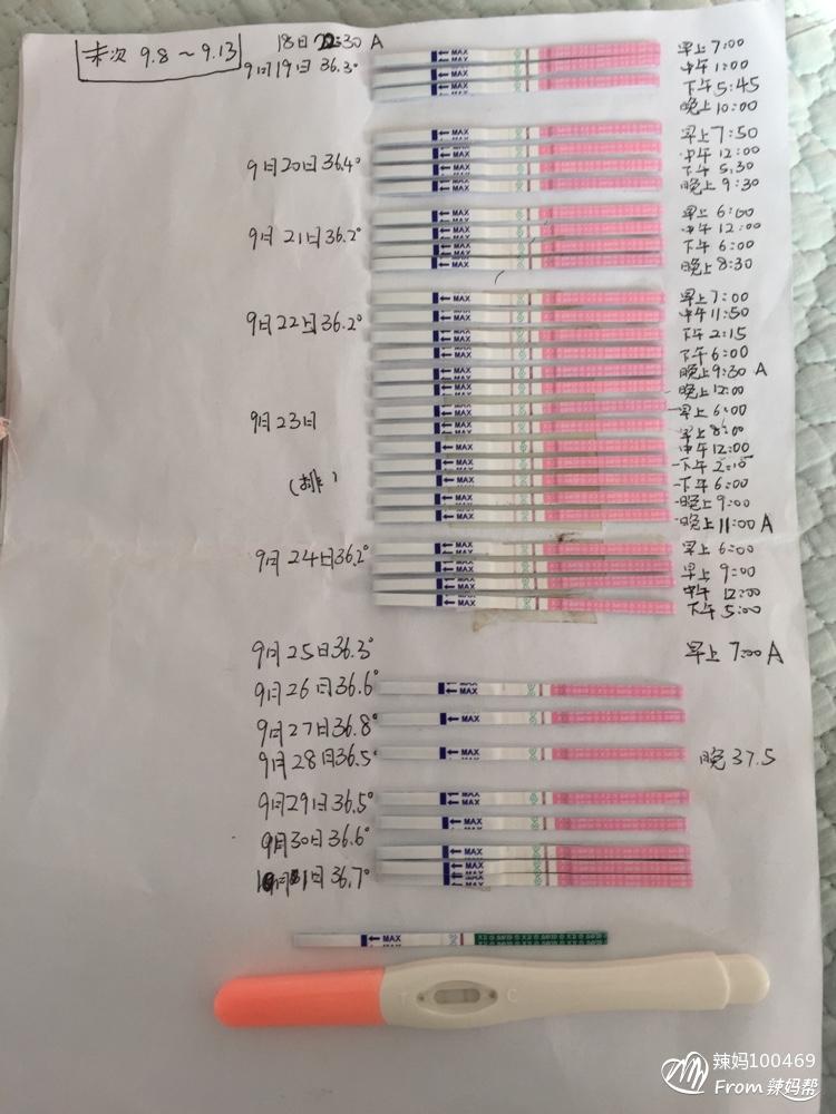 排卵试纸强阳后多久排卵图片_大卫试纸强阳多久排卵_排卵试纸强阳