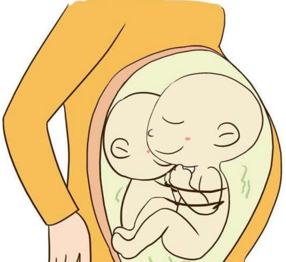 双胞胎怎么生_女子生三对双胞胎_怎么生双胞胎