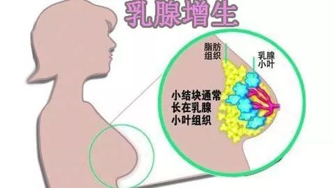 促甲状腺激素低原因_雌激素低怎么办_雌孕激素低