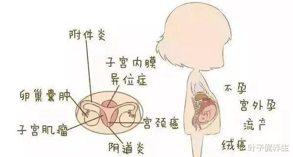 子宫内膜厚度_宫颈内膜厚度多少正常_经期内膜厚度多少正常